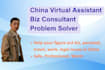 be your virtual assistant, partner, problem solver in china