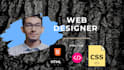 create a simple HTML CSS profile card