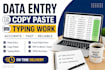do data entry, copy paste, typing work ,and microsoft excel
