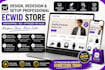 design redesign ecwid store setup ecwid website dropshipping SEO