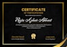 design professional certificate in canva