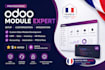 do odoo module development, website design, odoo ecommerce, and api integration
