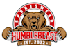 design attractive bear logo
