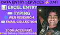 create charts graphs and excel data entry 24h
