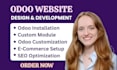 build and optimize a custom odoo website, modules, ecommerce and full setup