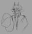 do sketches of your character