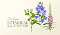 create detailed realistic botanical vector illustrations