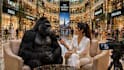 create a viral ai vlog with talking animals in using veo 3
