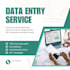 do   fast and accurate  data entry in excel and google sheets
