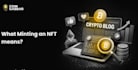 develop solana nft smart contract with utility and web3 integration