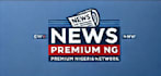 write engaging SEO blog posts, news articles and website content