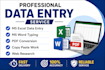 do fast and accurate data entry, excel work, and copy pasta