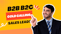 b2b cold calling b2b b2c sales and set appointments