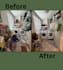 help you declutter your life
