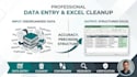 provide professional data entry and excel data cleanup services