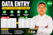 data entry, excel data cleaning, and formatting