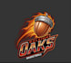 design team logo and uniforms for your team