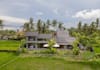 3d balinese architecture design, modern villa aerial view render, cgi landscape