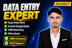 do data entry, CRM data entry, pdf conversion