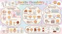 professional infographic design services all categories languages