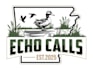 make a creative high quality duck logo