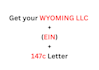 setup your wyoming llc