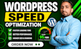 speed optimize wordpress site for 90 google pagespeed score in 24 hours