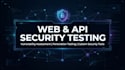 vapt and API security testing with custom security tools