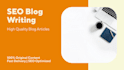 do professional blog writing
