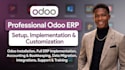 do odoo erp setup implementation, customization, odoo bookkeping as odoo develop
