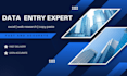 accurate data entry, excel, web research and copy paste work