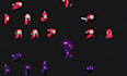 create pixel art game assets, tileset and background