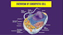 create biology notes presentations