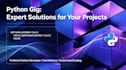 do python coding, debugging and data processing