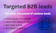 provide targeted b2b lead with verified email prospects