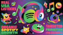 viral spotify music promotion