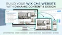 build wix cms website with dynamic content and design