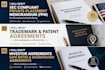 draft investor agreements safe notes shareholder agreements for US startups