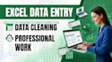 do profe excel data entry, data cleaning and formatting