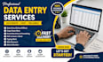 do fastest data entry, copy paste and web research