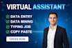 be your virtual assistant for data entry,copy paste, data mining ,data formating
