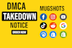 takedown infringing, defaming, harassing, copyright leaked content under dmca