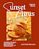 design socail media posts and youtube thumbnail using canva