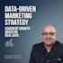 develop a data driven digital marketing strategy
