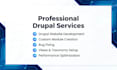 build a professional drupal website with clean design