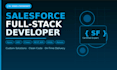 develop custom salesforce solutions using apex, lwc, flows and integration