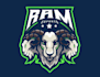 create outstanding ram skull mascot logo with express delivery