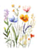 do a botanical illustration