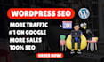 do wordpress SEO for your website