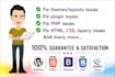 fix wordpress issues, wordpress error, wordpress bug fix